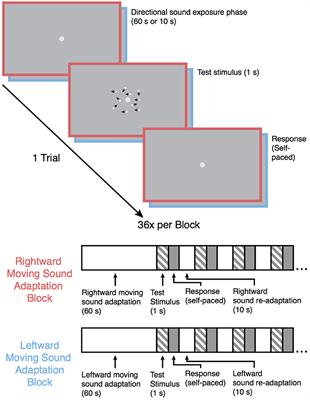 Auditory Motion Elicits a Visual Motion Aftereffect